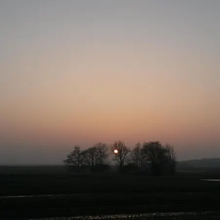 Apartment Inselromantik Ruegen, Dz Honeymoon Dreschvitz